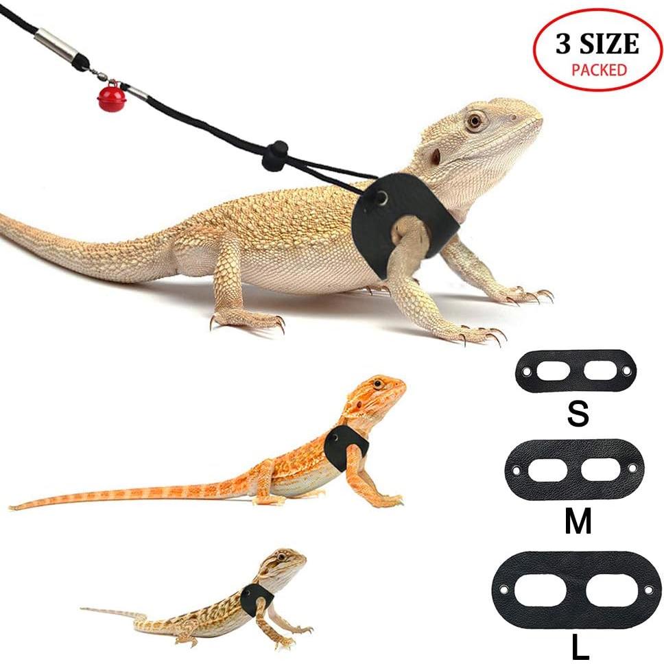 Arnés y Correa Ajustable Lyeiaa para Dragón Barbudo S/M/L