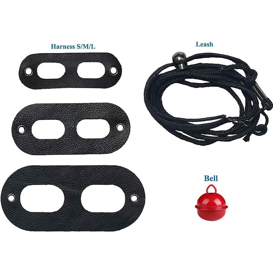 Arnés y Correa Ajustable Lyeiaa para Dragón Barbudo S/M/L