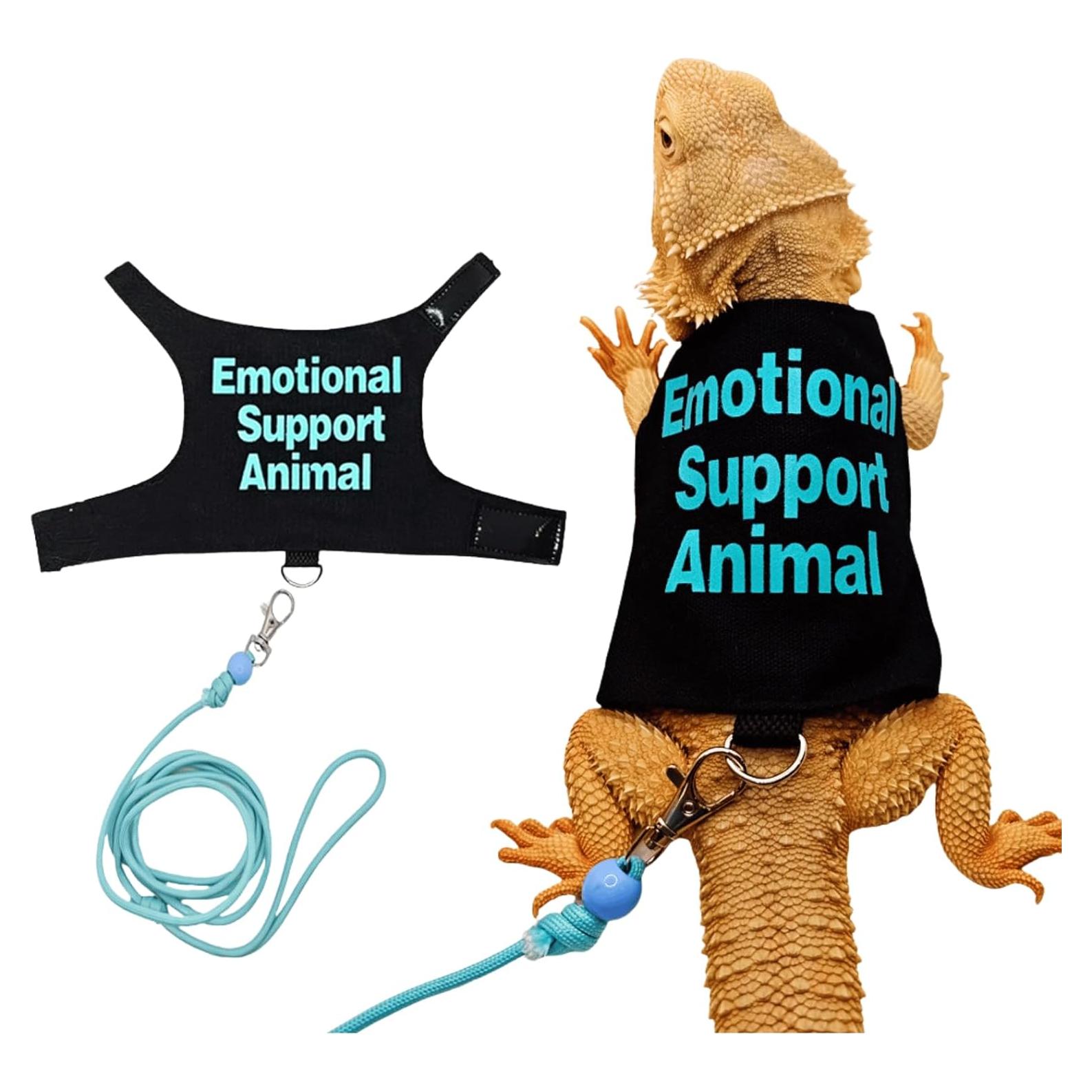 Ropa para Lagartos Barbudos Copfeu con Correa Azul 11.51 cm