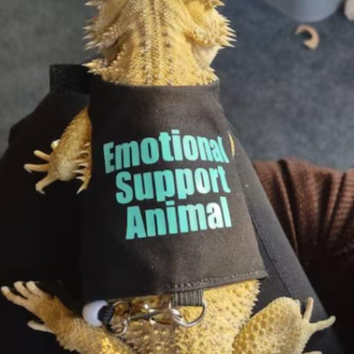 Ropa para Lagartos Barbudos Copfeu con Correa Azul 11.51 cm