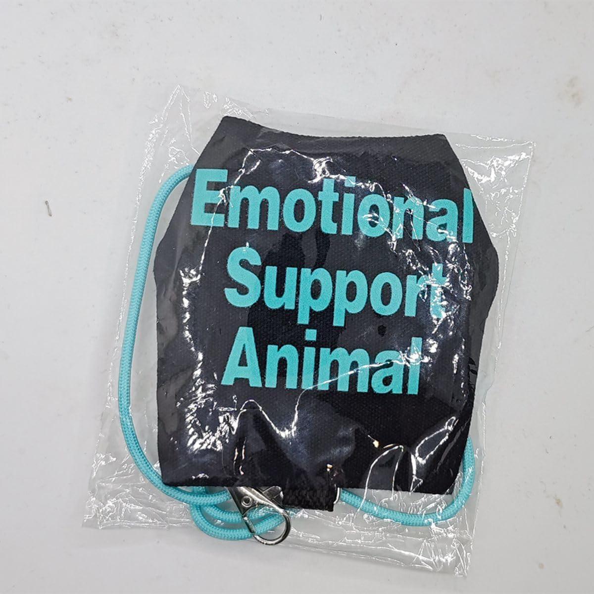 Ropa para Lagartos Barbudos Copfeu con Correa Azul 11.51 cm