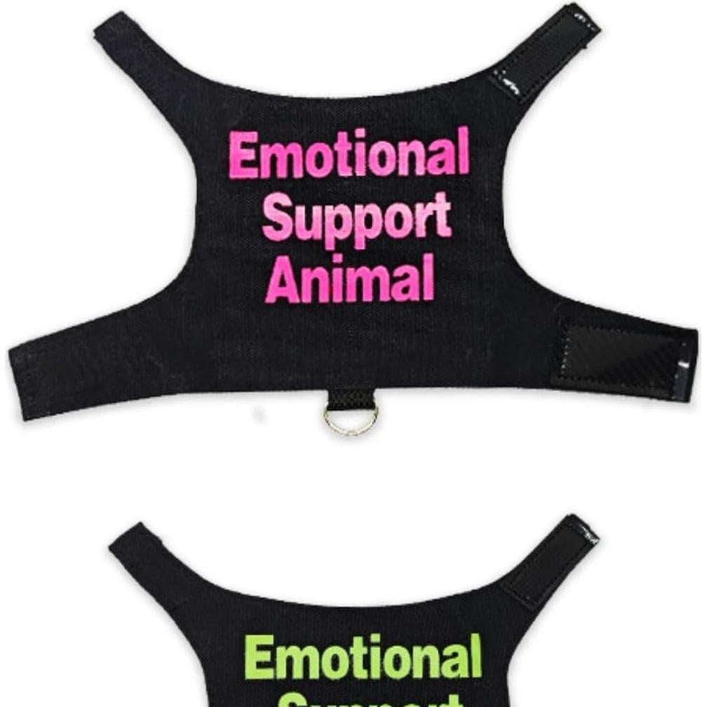 Ropa para Lagartos Barbudos Copfeu con Correa Azul 11.51 cm