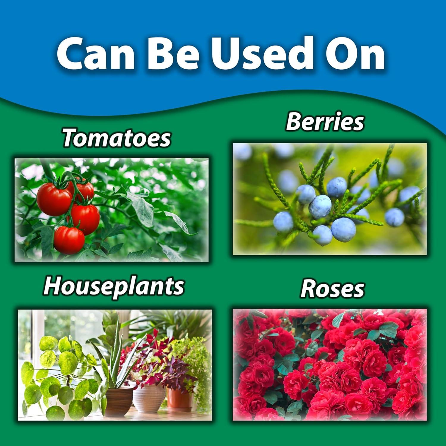 Monterey Aceite de Neem Spray 875 g - Control de Plagas y Enfermedades