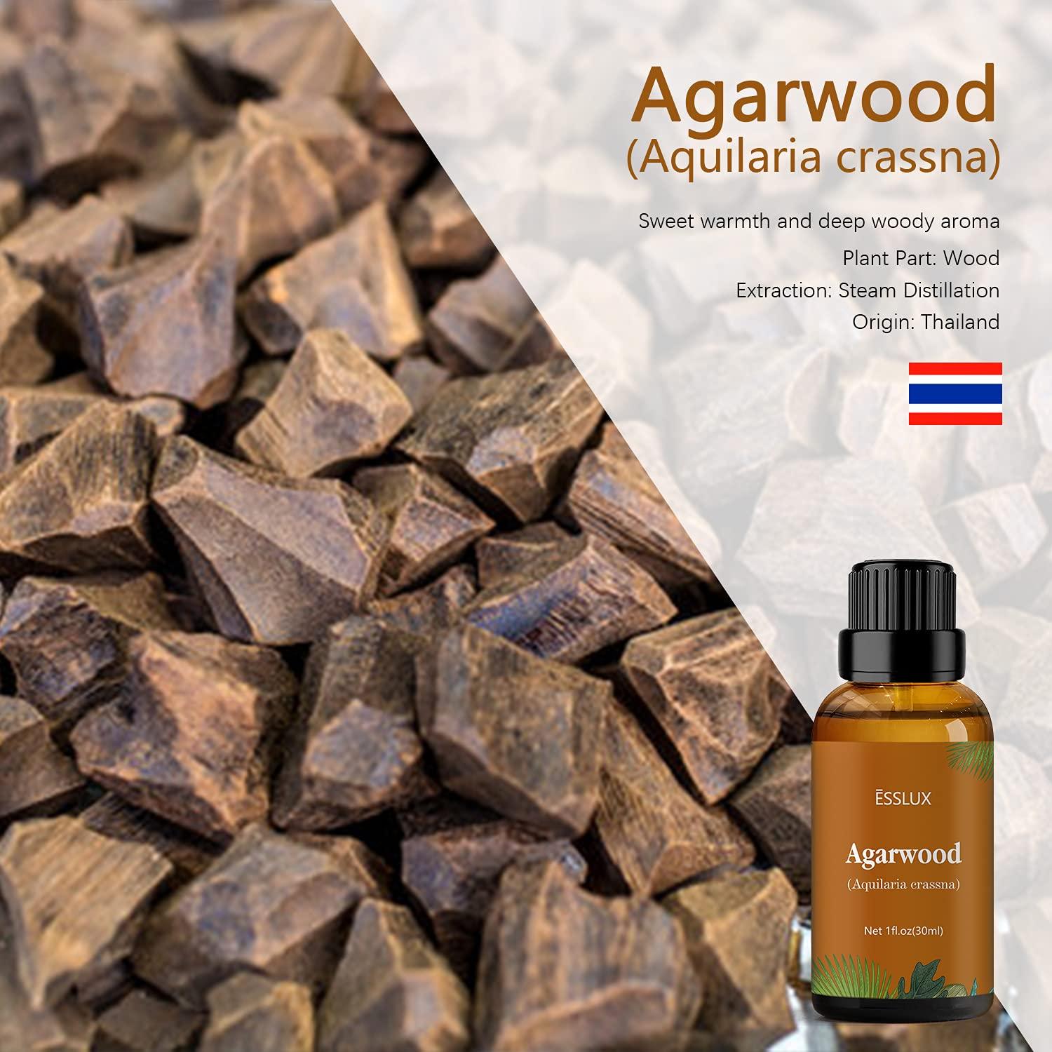 Aceite Esencial de Agarwood ESSLUX 30 ml - Aromaterapia Premium