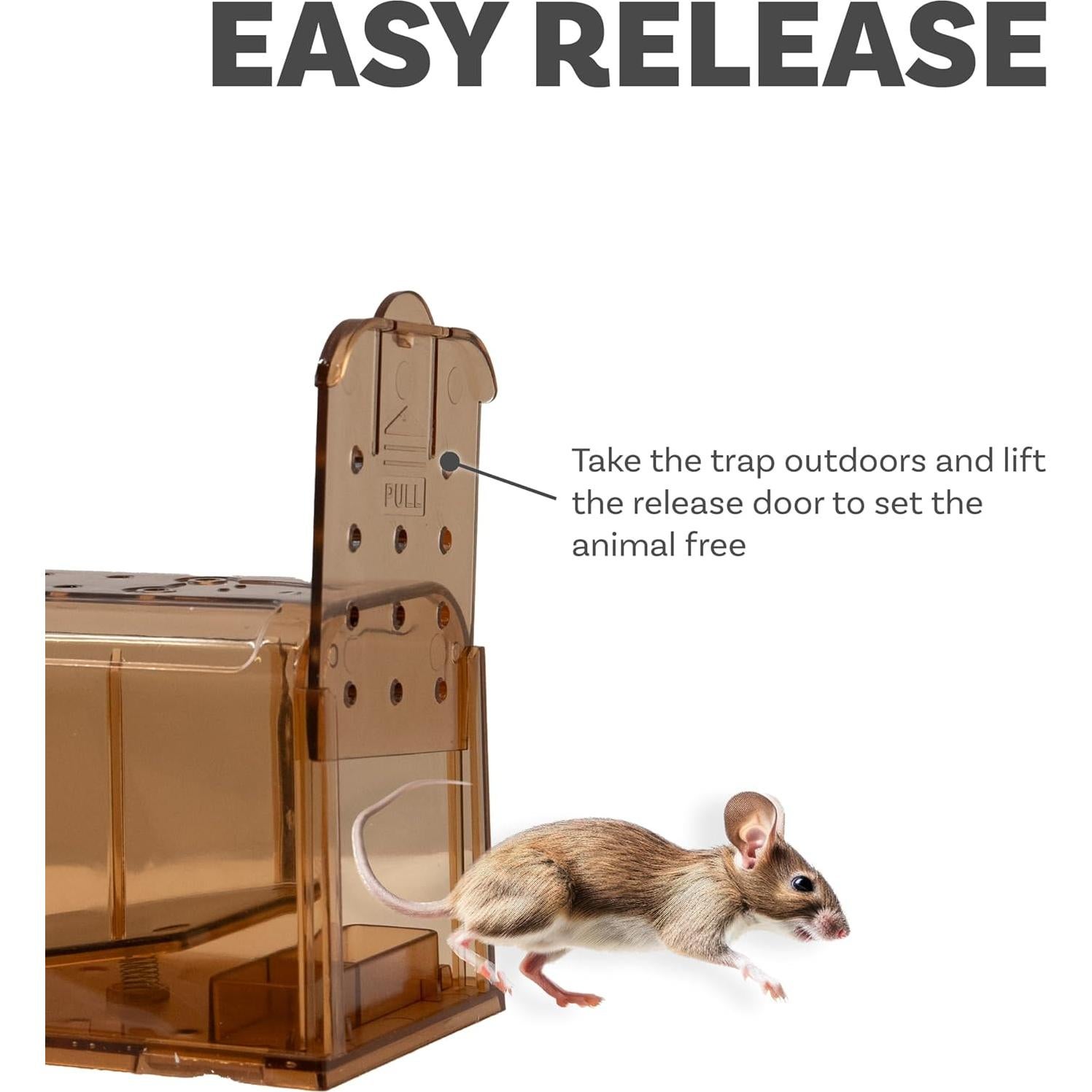 Trampa Humana para Ratones Sunnydaze - Reutilizable - Paquete de 2