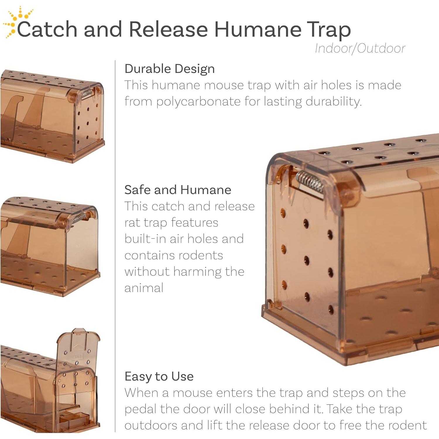 Trampa Humana para Ratones Sunnydaze - Reutilizable - Paquete de 2