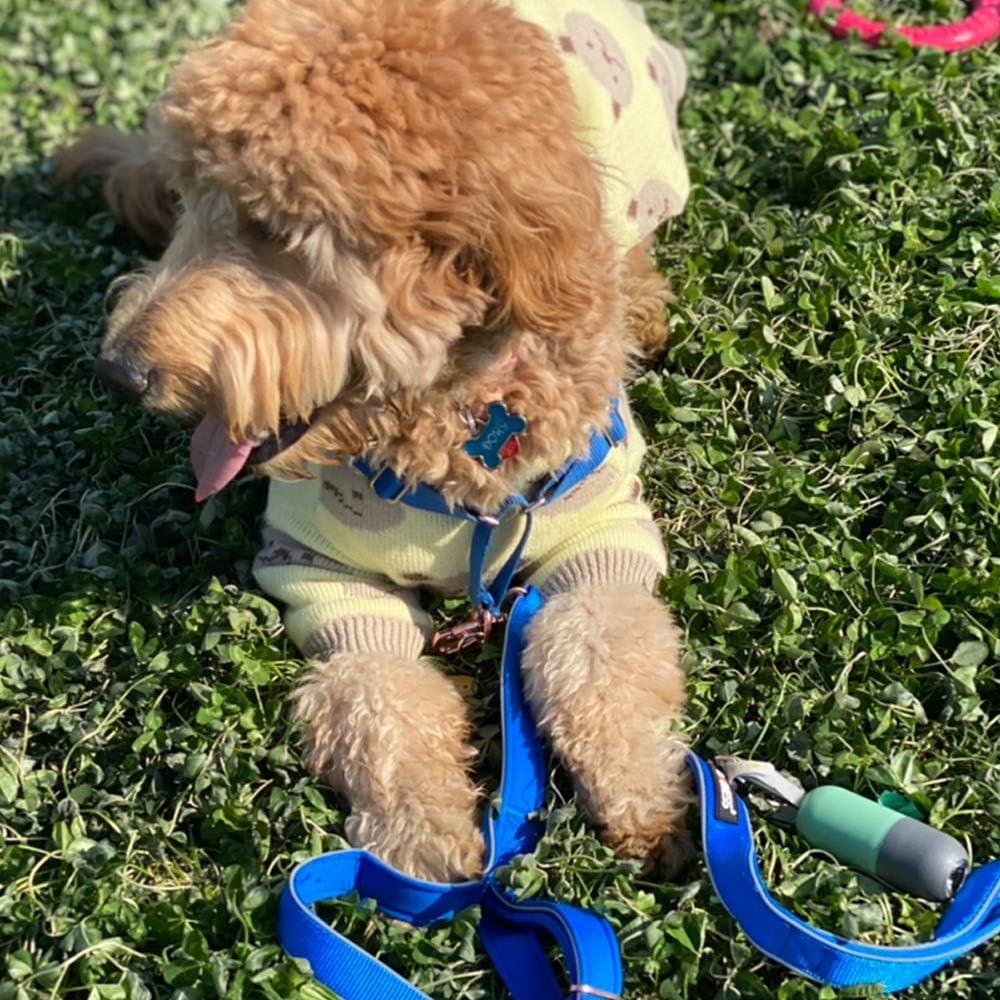 Dispensador de bolsas para excremento de perro Infinite Node con linterna LED