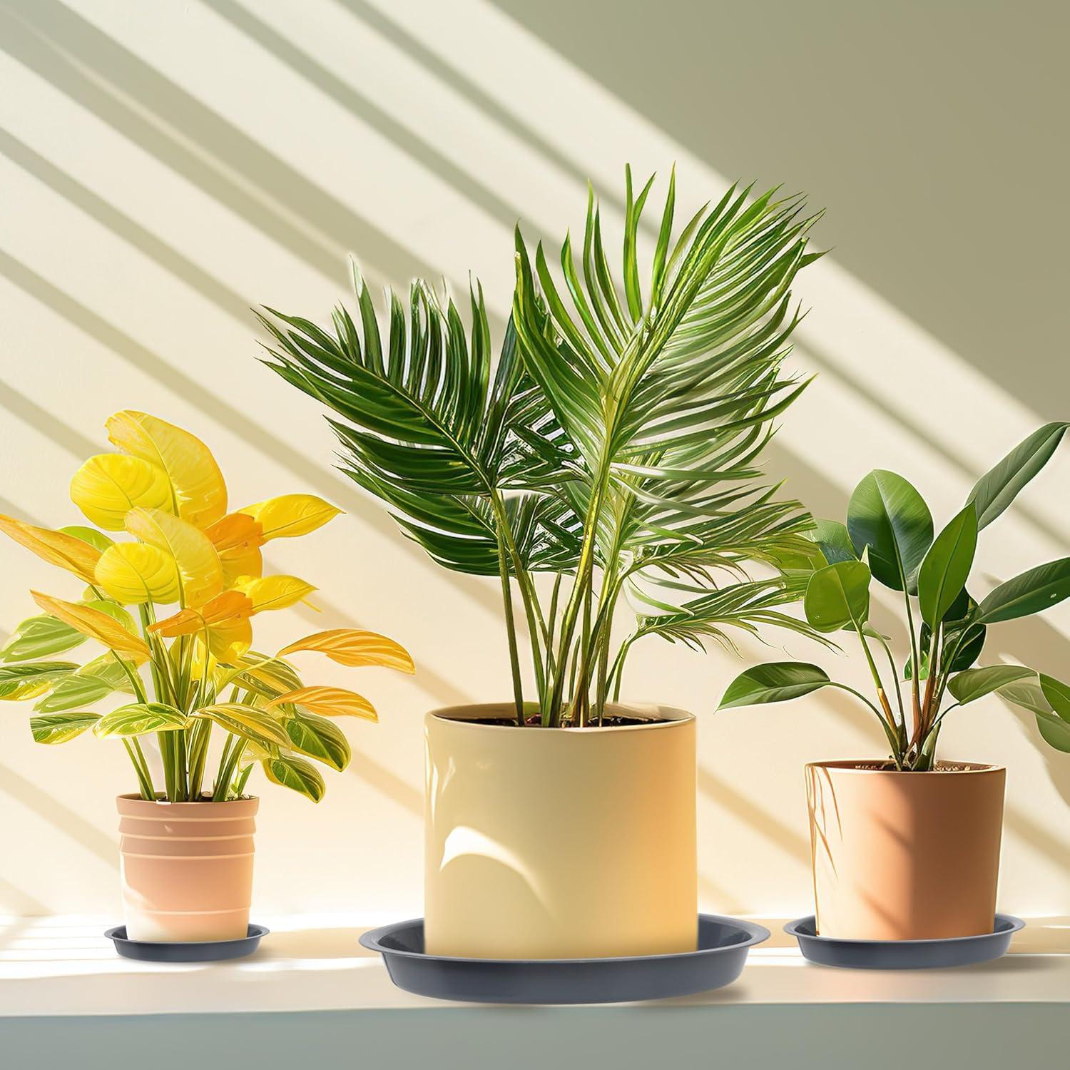 12PCS Bandejas para Plantas PeoMev 6 8 10 Pulgadas Grises