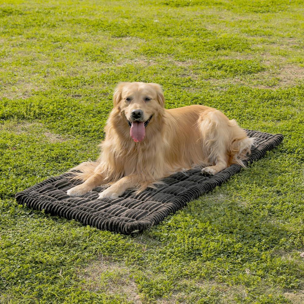 Funda de Asiento para Perros Awjcsv DCSC Antideslizante 63x137cm