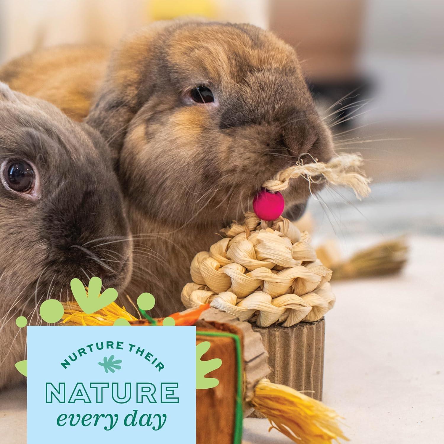 Paquete de Fiesta de Cumpleaños Oxbow para Mascotas - 5 Masticables Naturales