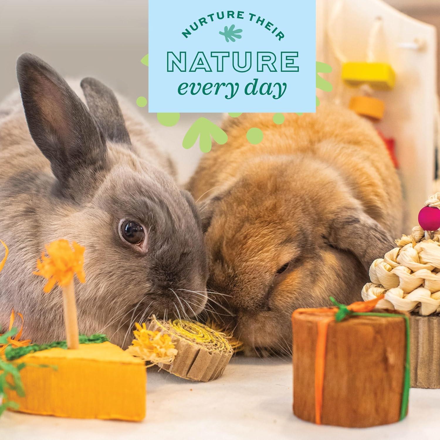 Paquete de Fiesta de Cumpleaños Oxbow para Mascotas - 5 Masticables Naturales