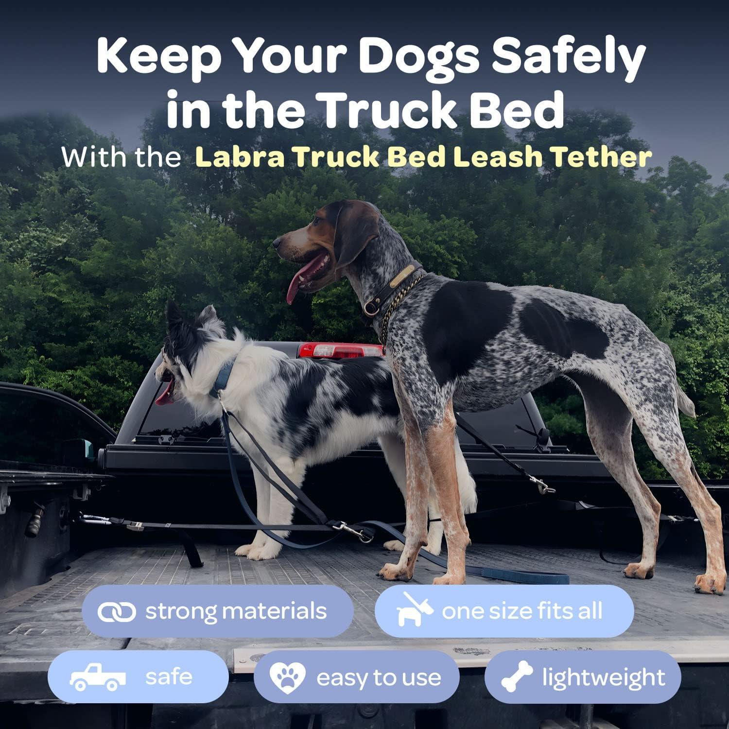 Correa Doble Ajustable Labra para Cama de Pickup - Nylon Resistente