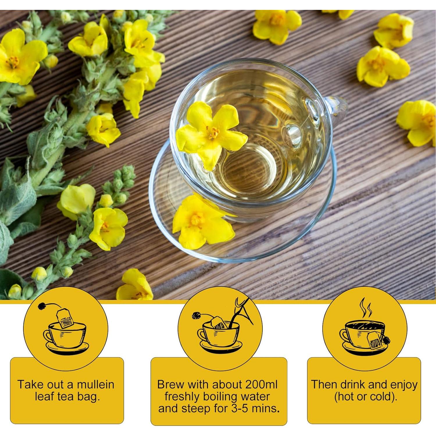 Té de hoja de Mullein Catfit - 40 bolsas, sin cafeína, No OGM