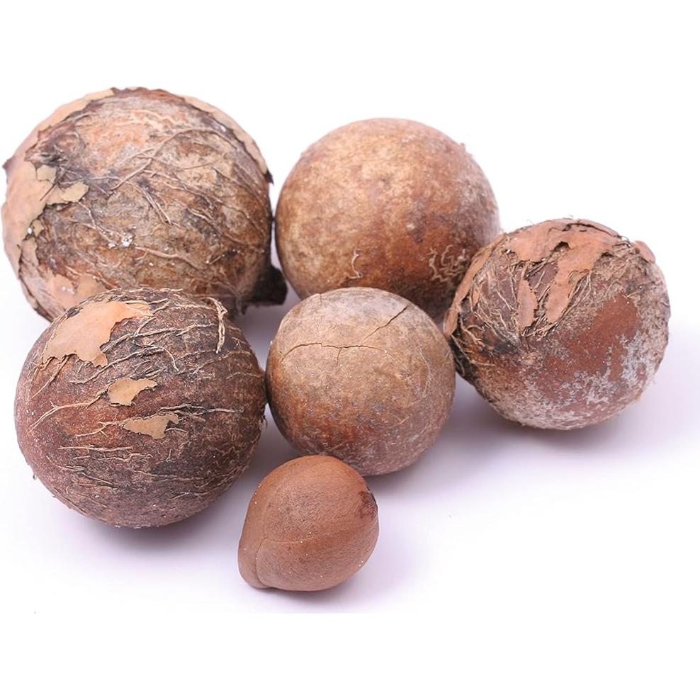 Aceite de Tamanu Puro Orgánico 473 ml - Hidratante para Piel y Cabello