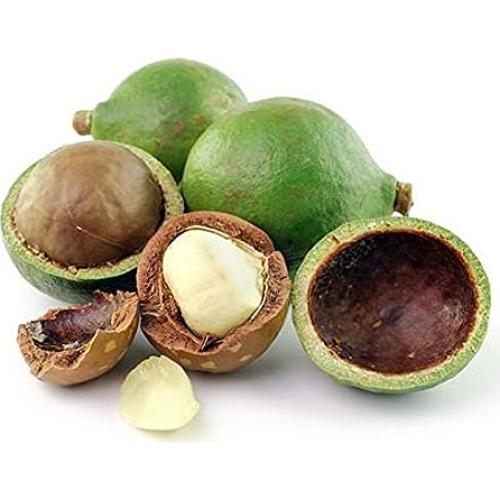 Aceite de Tamanu Puro Orgánico 473 ml - Hidratante para Piel y Cabello