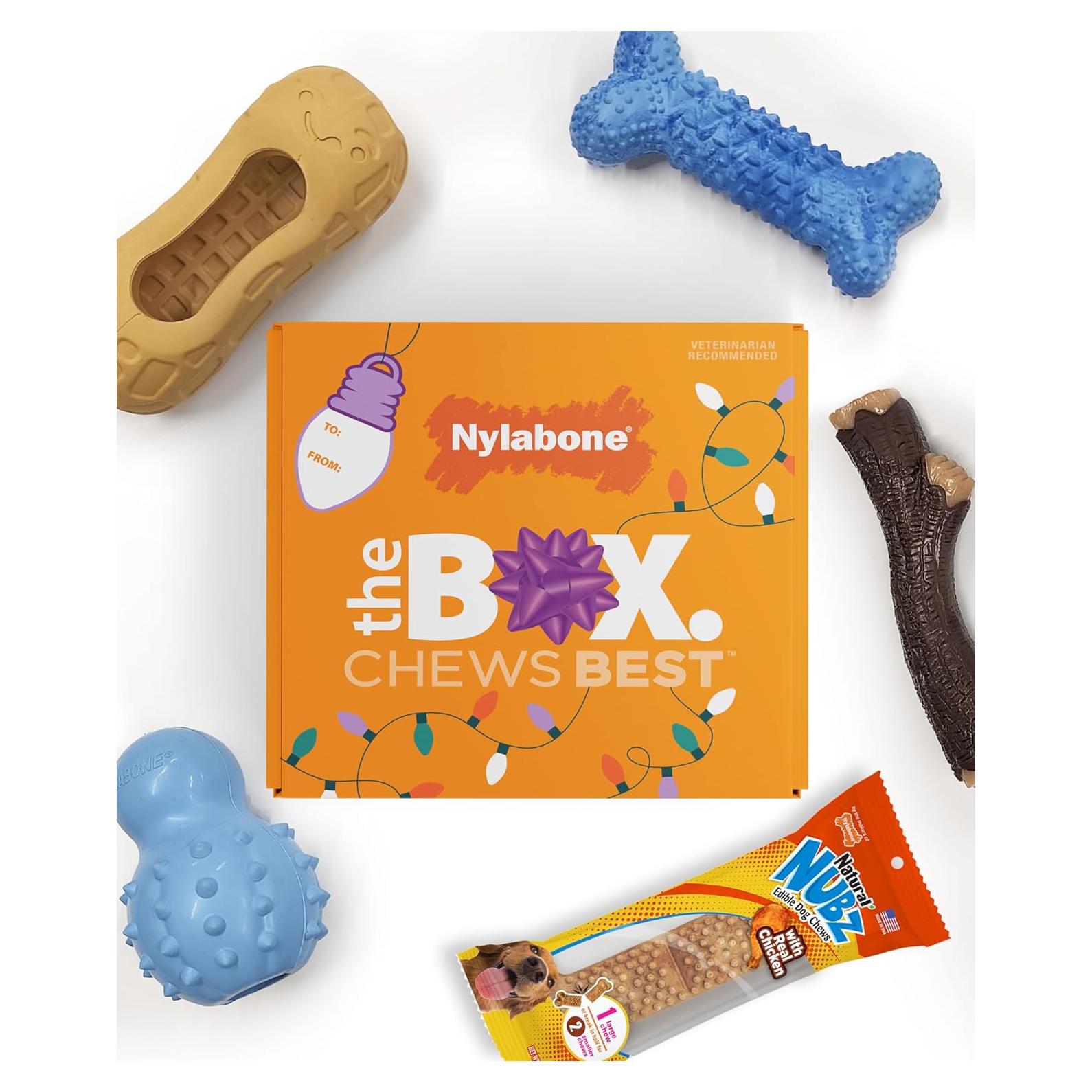 Caja de Regalo Nylabone para Perros Pequeños - 5 Juguetes y Golosina
