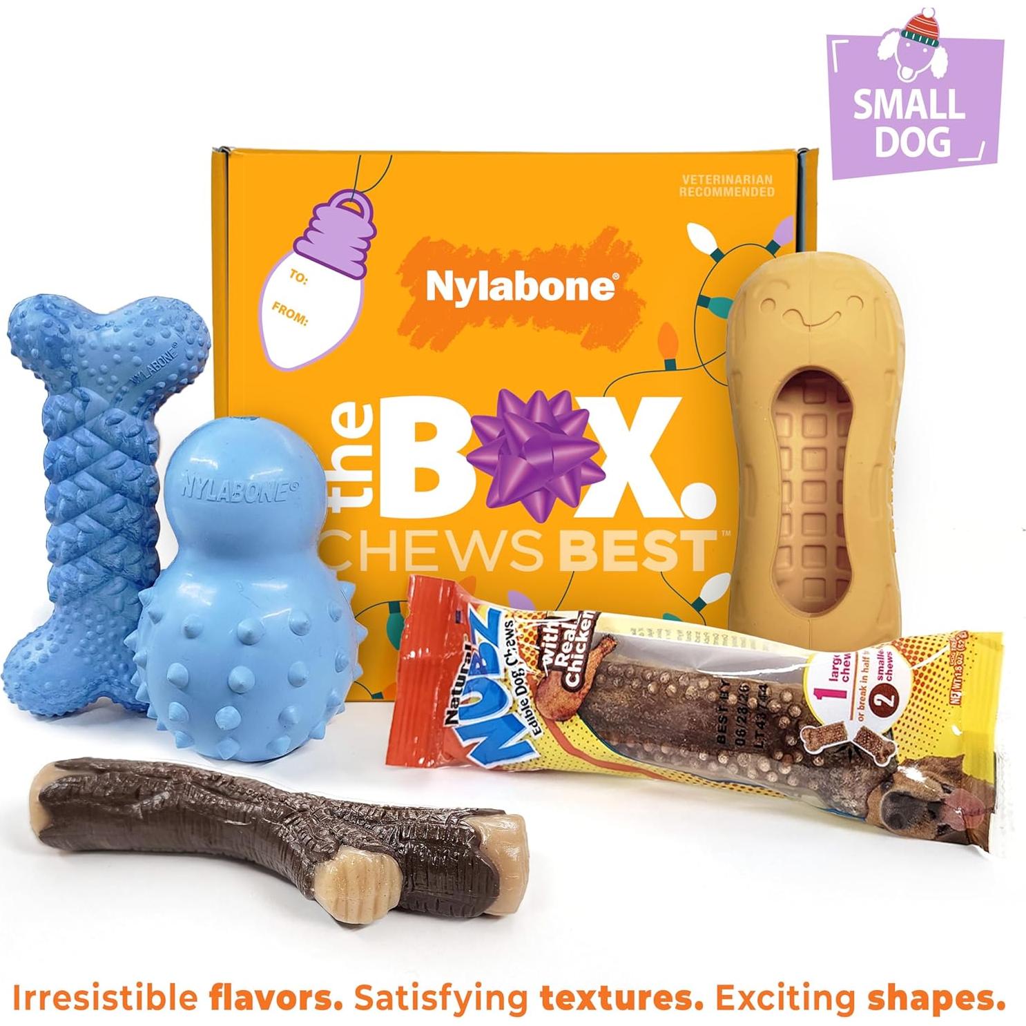 Caja de Regalo Nylabone para Perros Pequeños - 5 Juguetes y Golosina