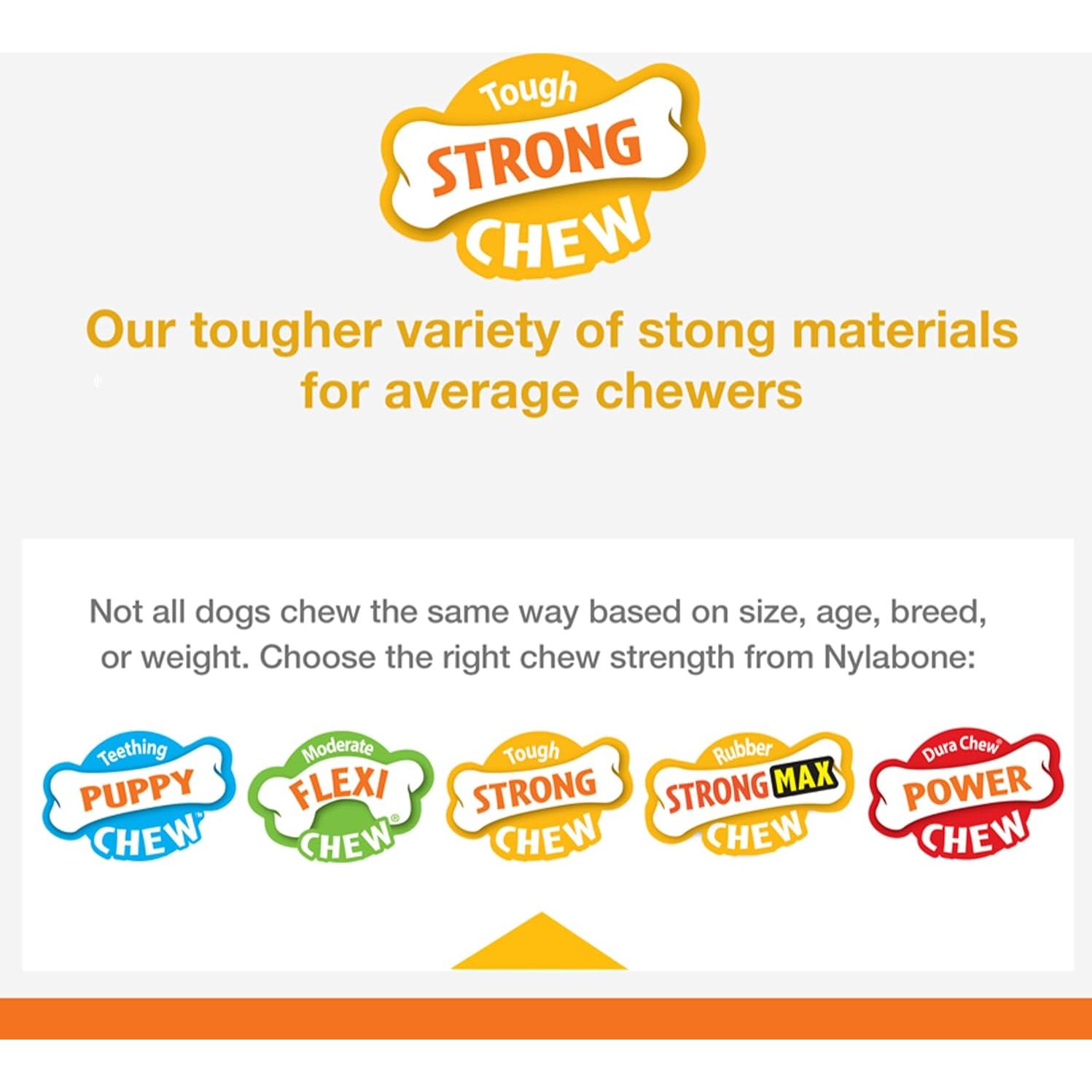 Caja de Regalo Nylabone para Perros Pequeños - 5 Juguetes y Golosina