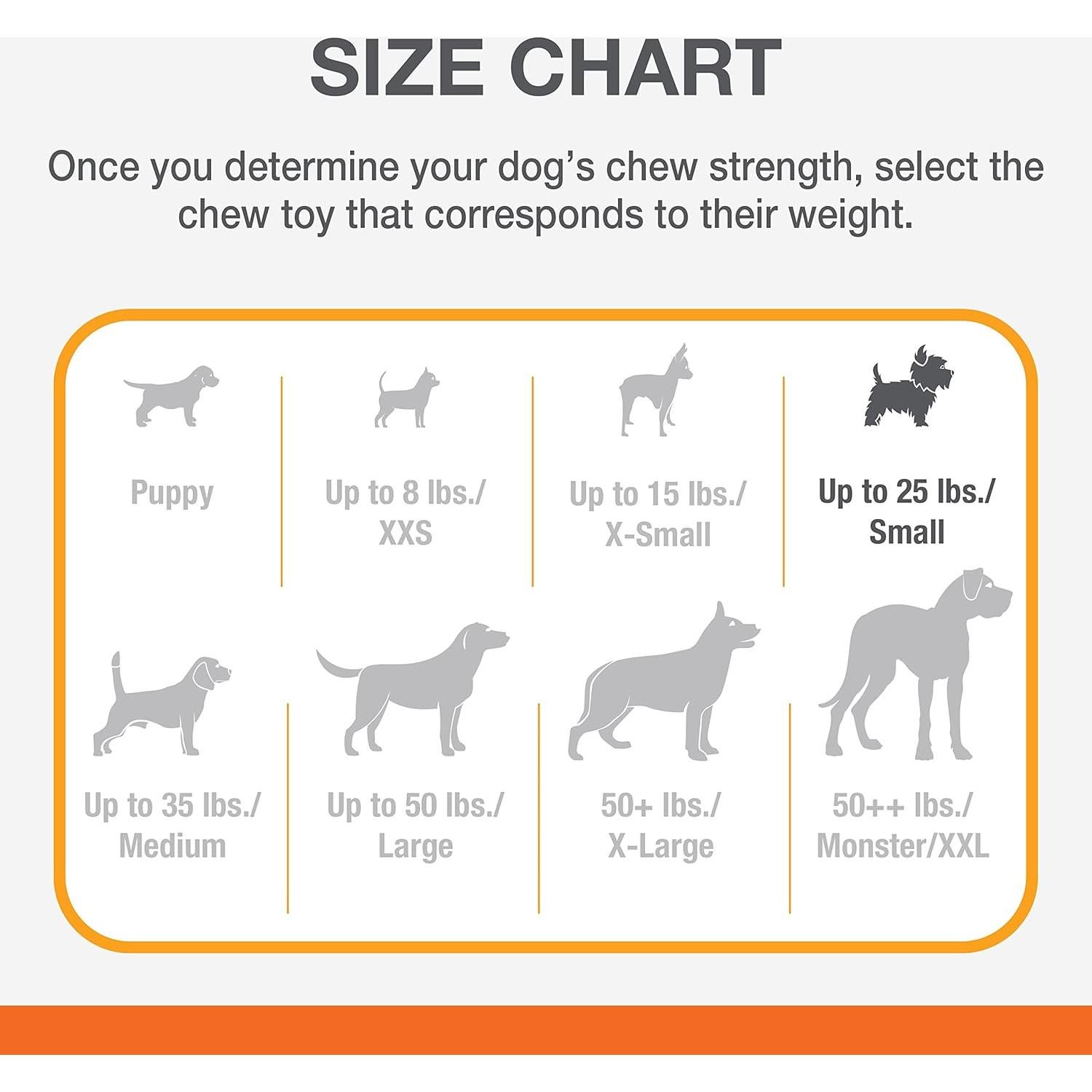 Caja de Regalo Nylabone para Perros Pequeños - 5 Juguetes y Golosina