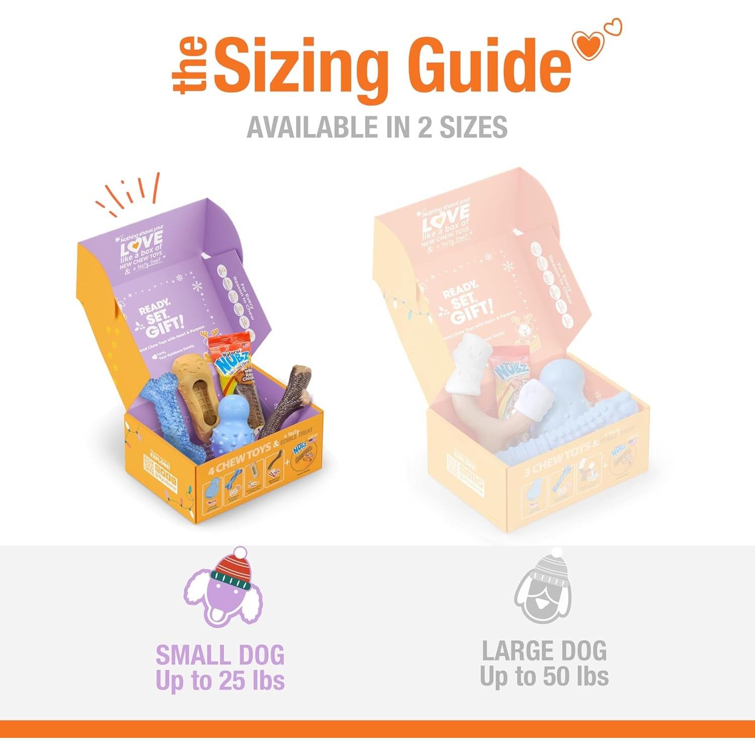 Caja de Regalo Nylabone para Perros Pequeños - 5 Juguetes y Golosina