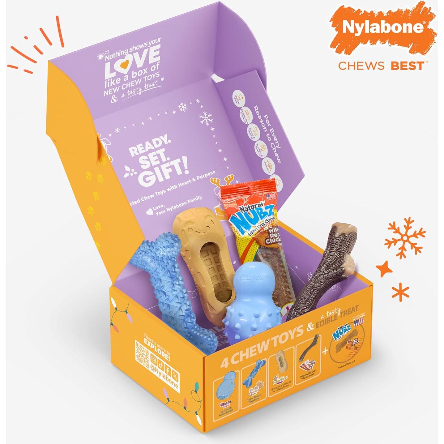 Caja de Regalo Nylabone para Perros Pequeños - 5 Juguetes y Golosina