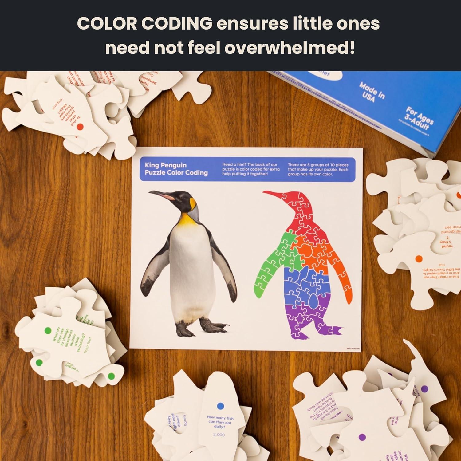 Rompecabezas de Piso Rey Pingüino - 50 Piezas Educativo