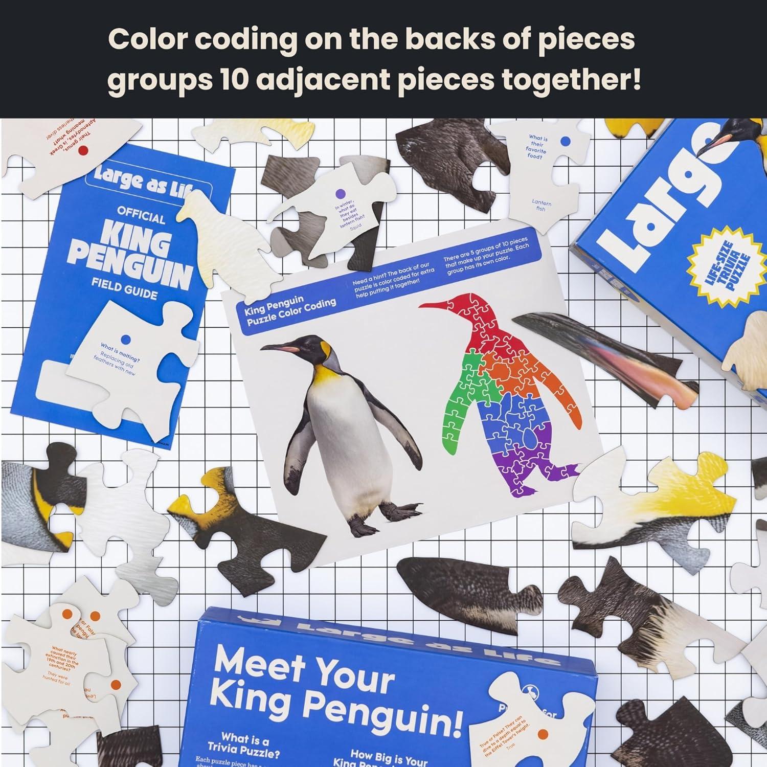 Rompecabezas de Piso Rey Pingüino - 50 Piezas Educativo