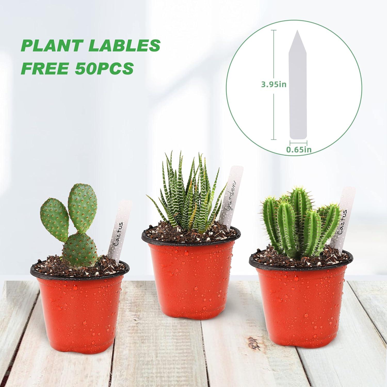 Macetas de Plástico TDHDIKE 10.16 cm para Vivero 50pcs