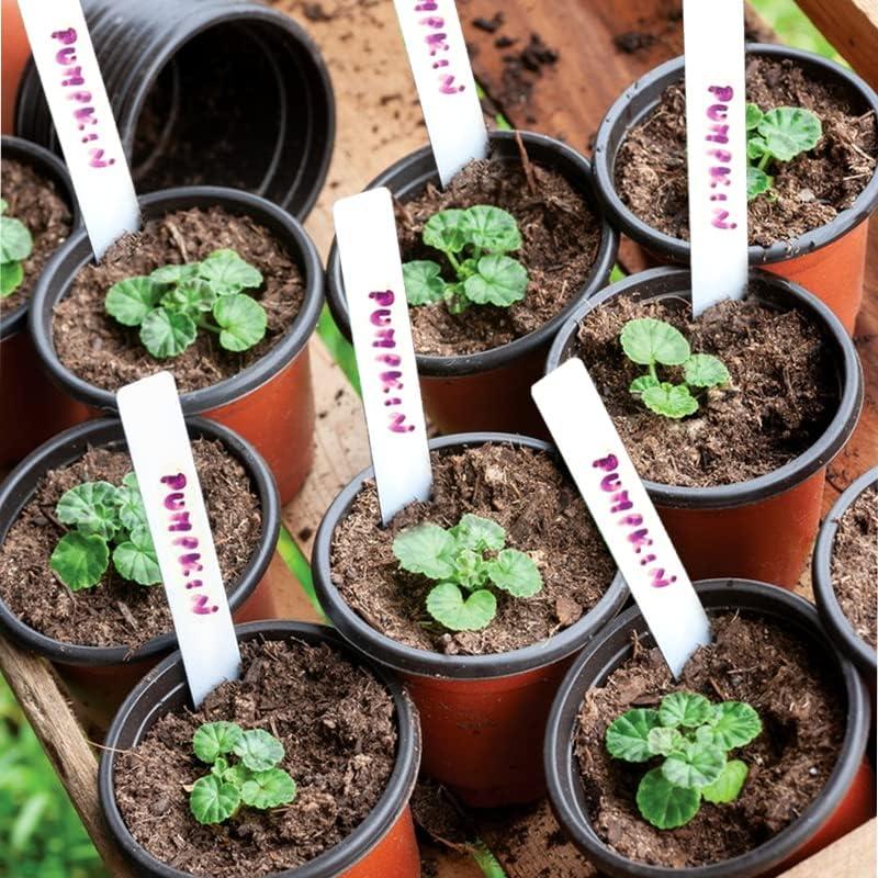 Macetas de Plástico TDHDIKE 10.16 cm para Vivero 50pcs