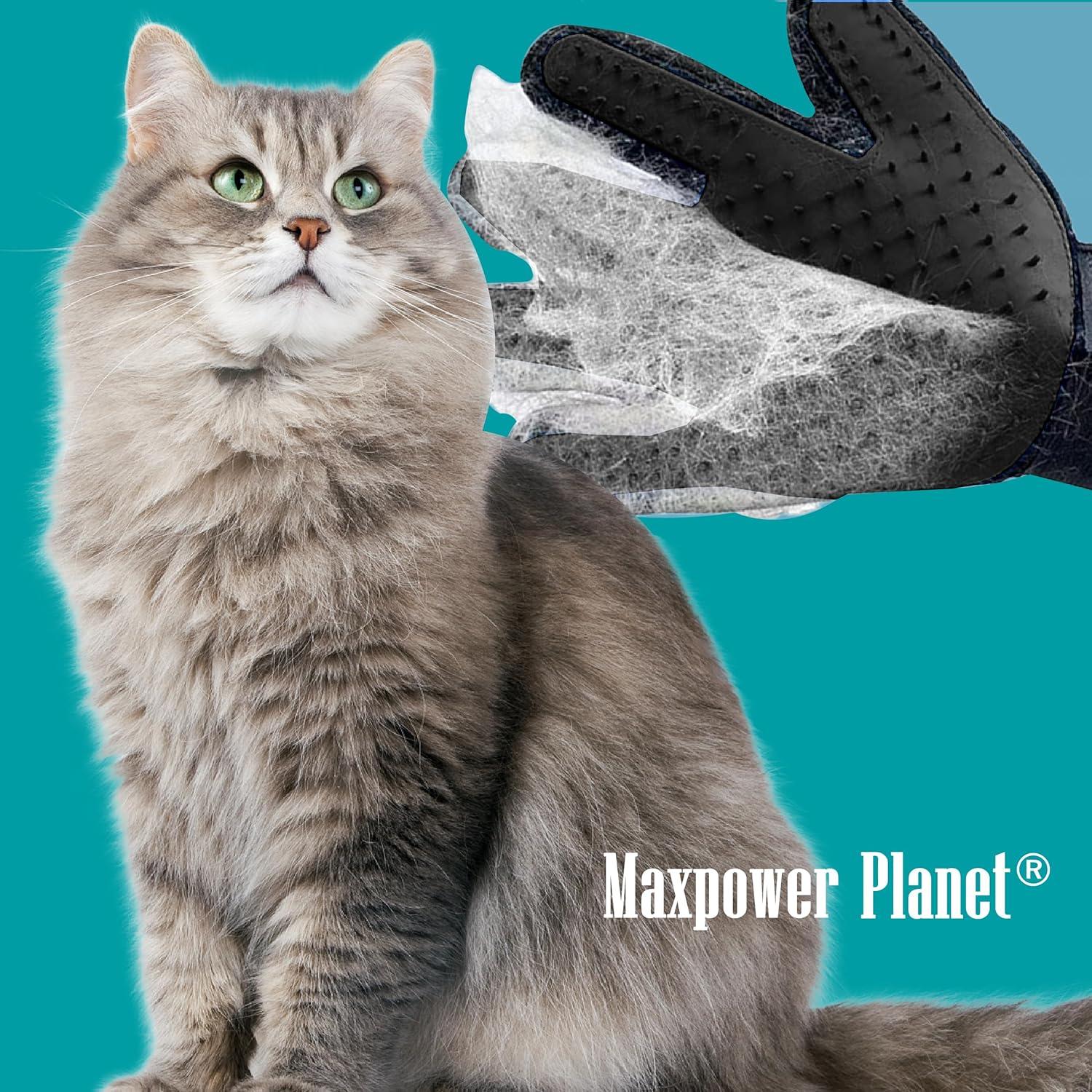 Guantes de Aseo para Mascotas Maxpower Planet - Negro