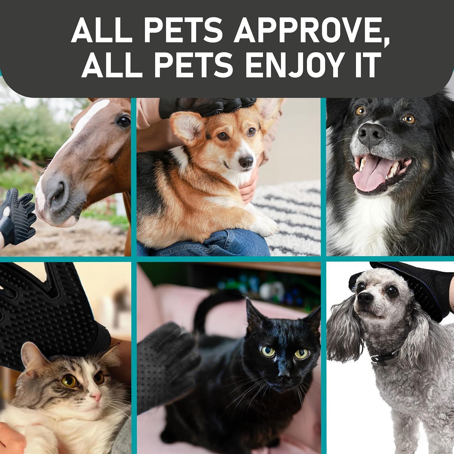 Guantes de Aseo para Mascotas Maxpower Planet - Negro