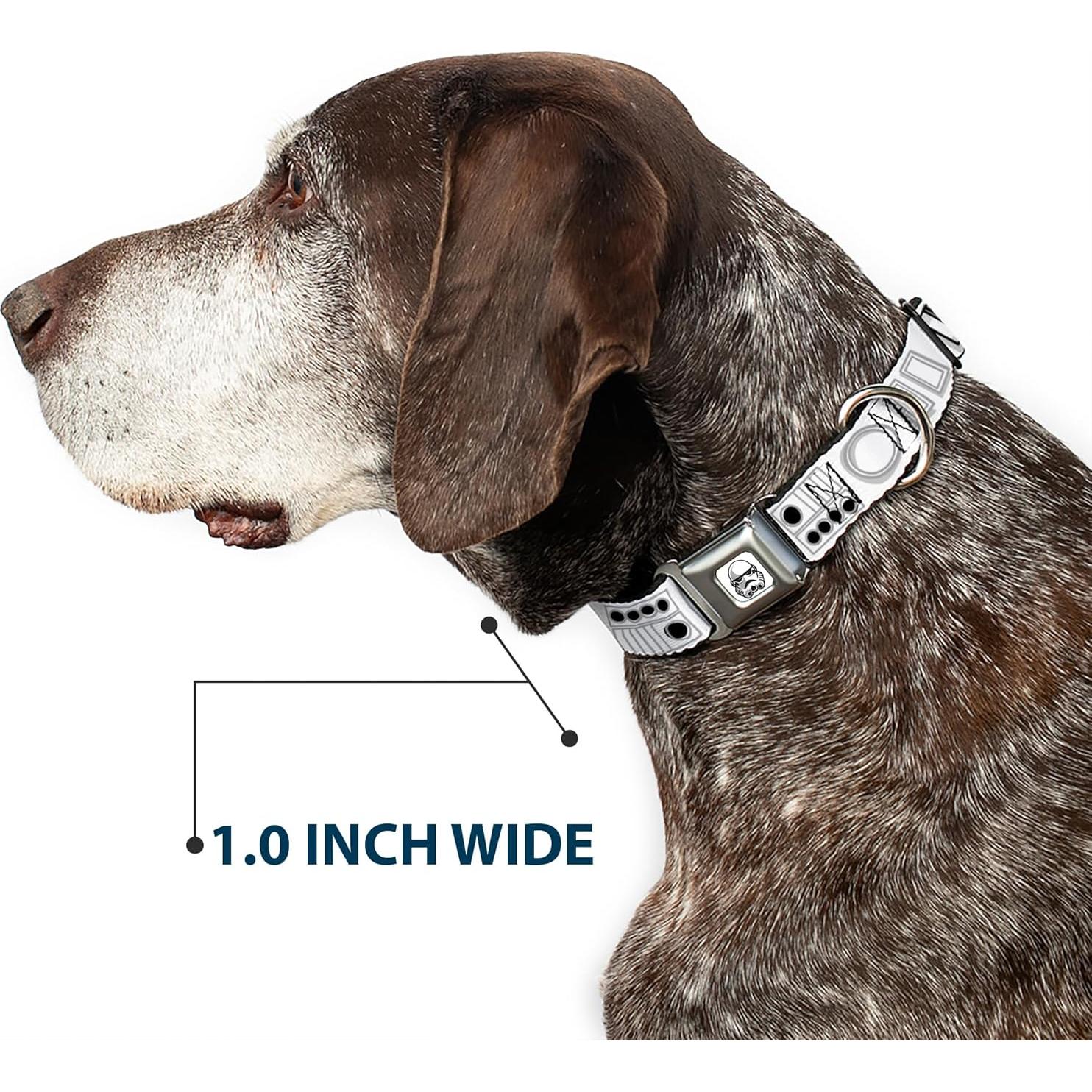 Collar para Perro Star Wars Buckle-Down 24.1-33 cm 2.54 cm