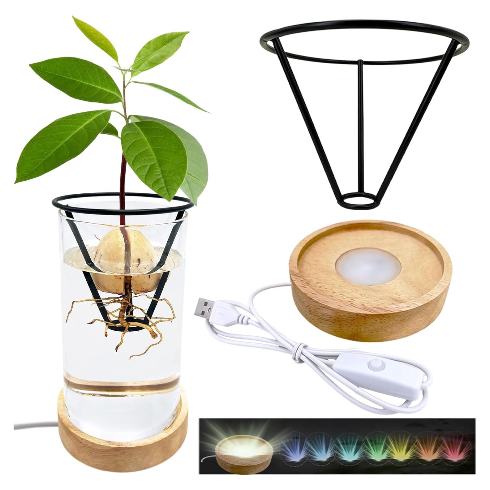 Jarrón de Aguacate YjiaYjiaY con Luz LED Multicolor y Soporte