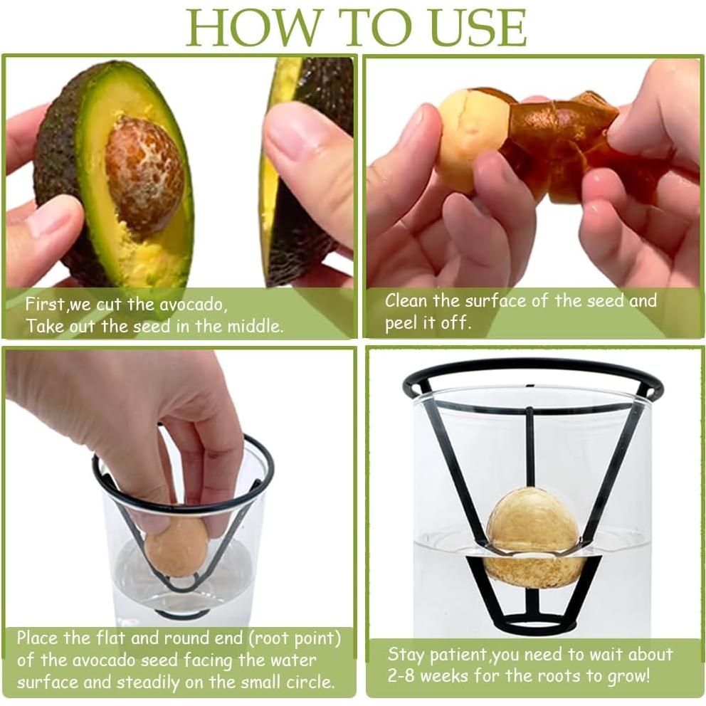 Jarrón de Aguacate YjiaYjiaY con Luz LED Multicolor y Soporte