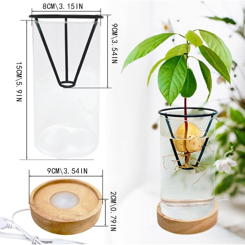 Jarrón de Aguacate YjiaYjiaY con Luz LED Multicolor y Soporte