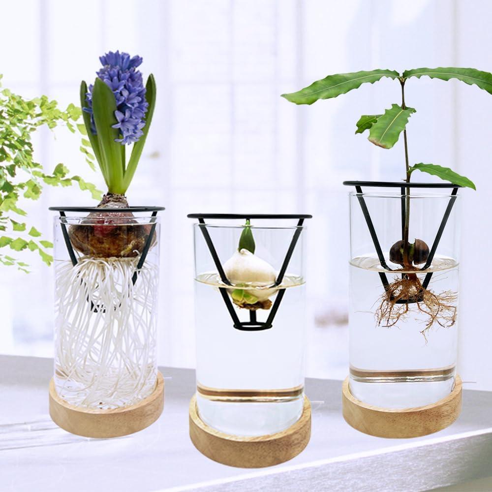 Jarrón de Aguacate YjiaYjiaY con Luz LED Multicolor y Soporte