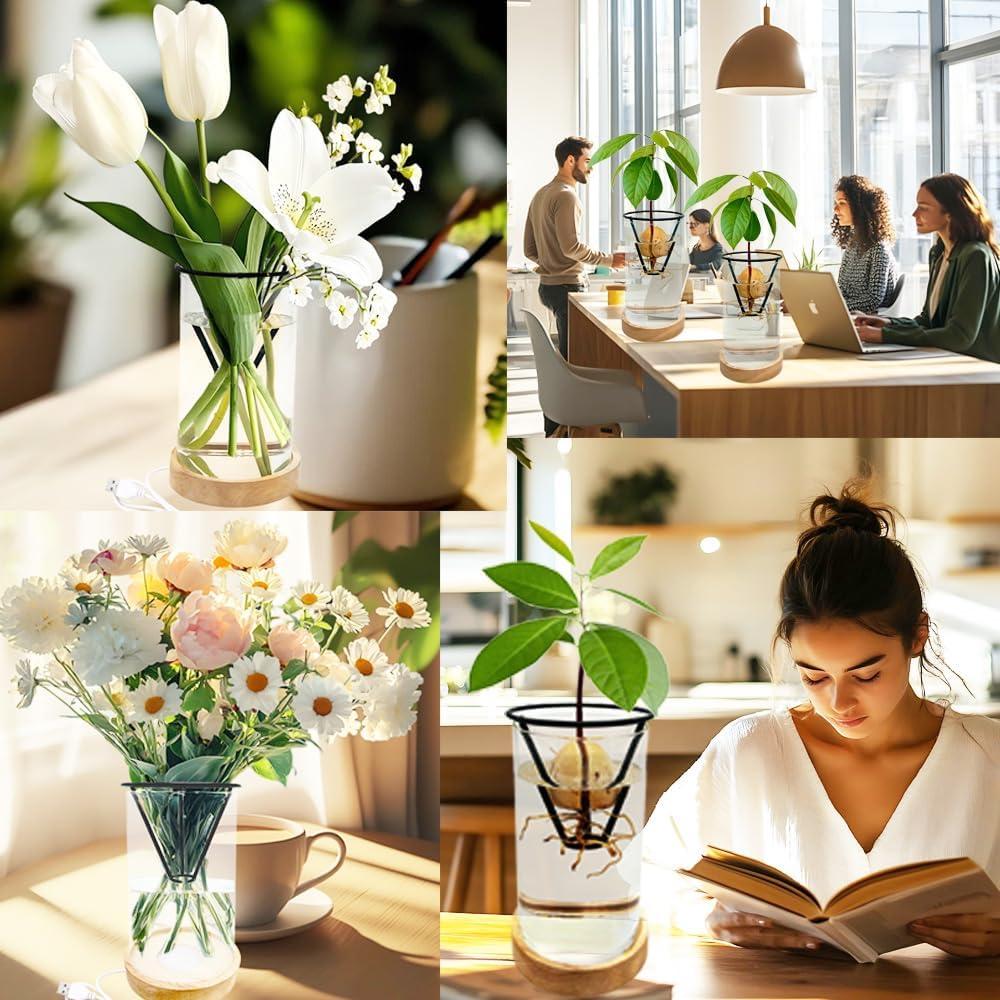 Jarrón de Aguacate YjiaYjiaY con Luz LED Multicolor y Soporte