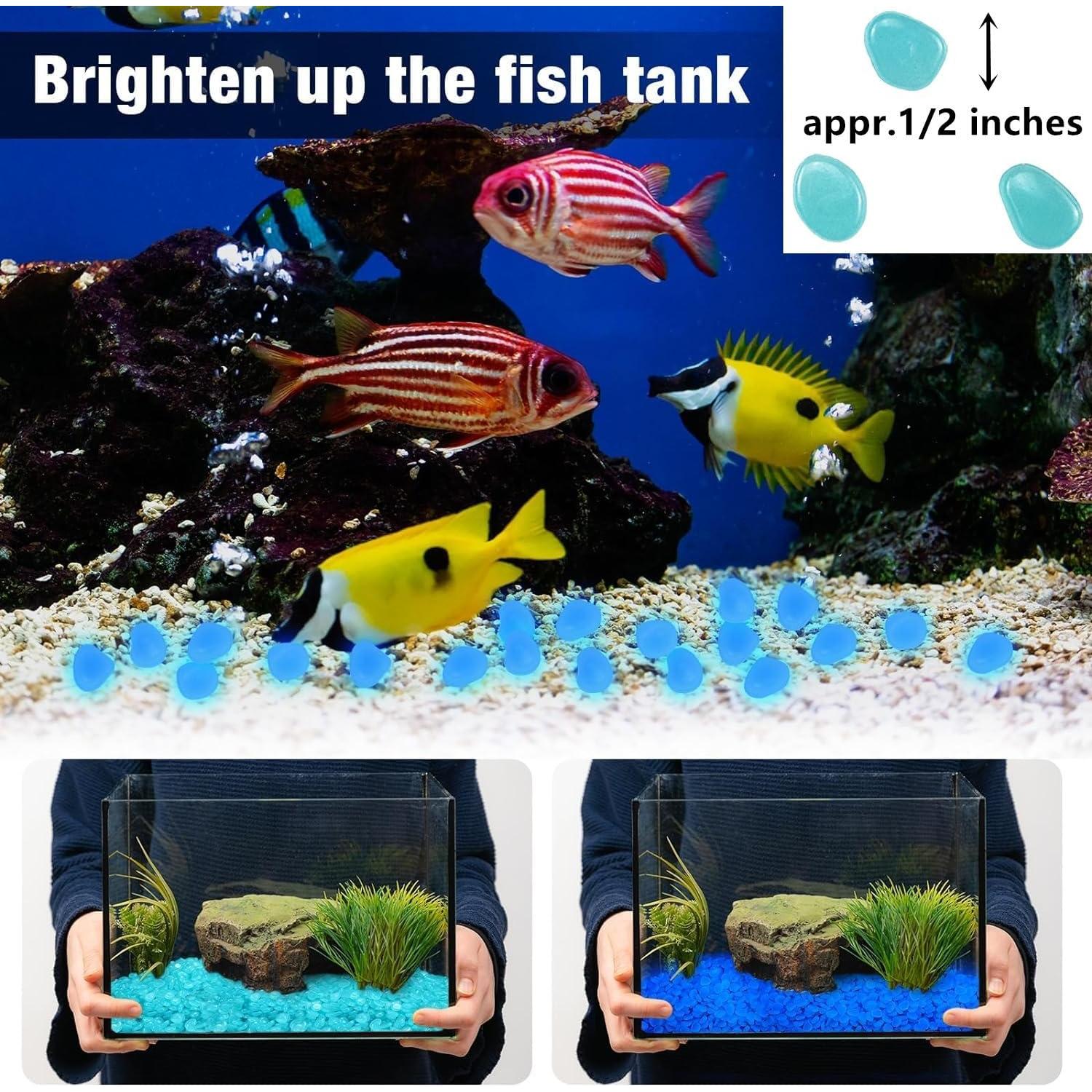 Piedras Brillantes Azules 840 pcs para Jardín y Acuario