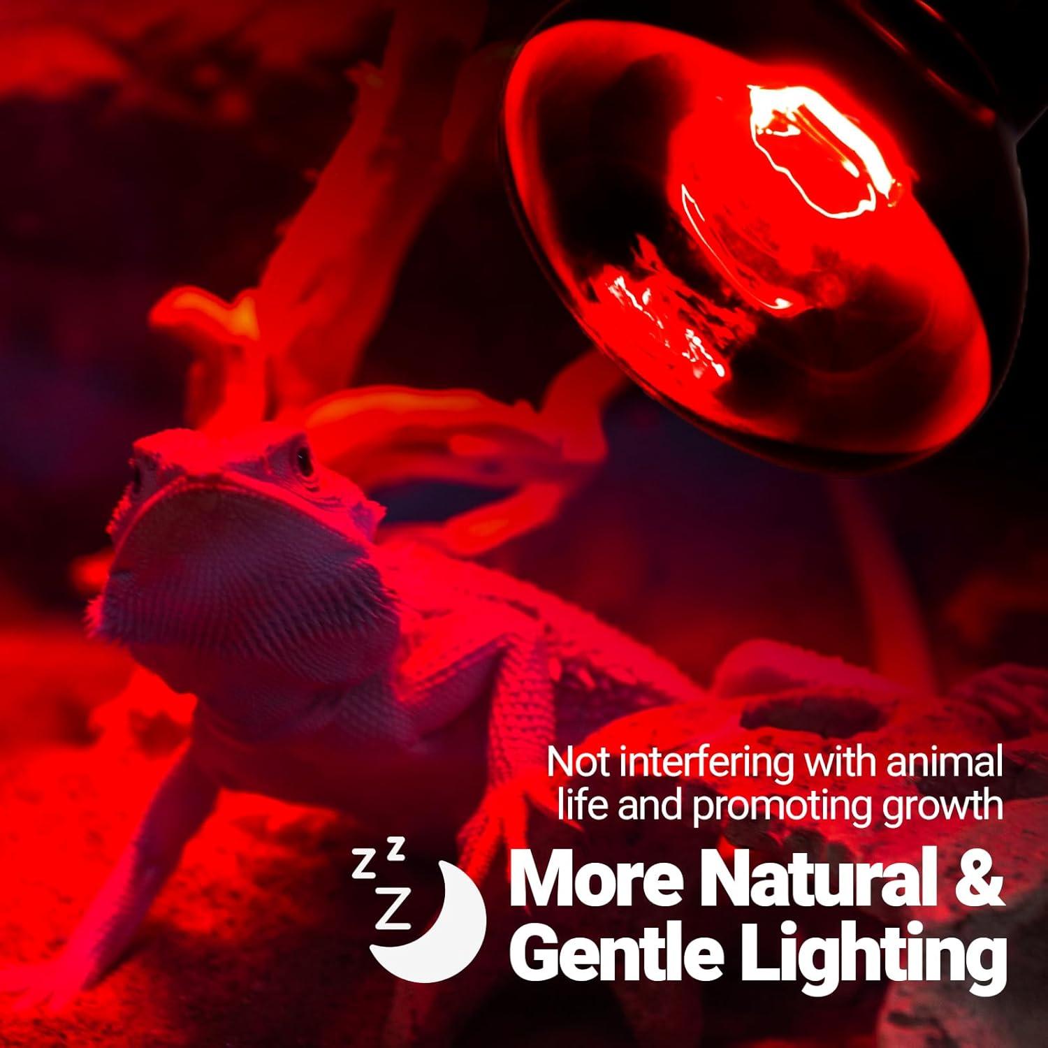 Lámpara de Calor Infrarroja REPTI ZOO 50W para Reptiles y Aves