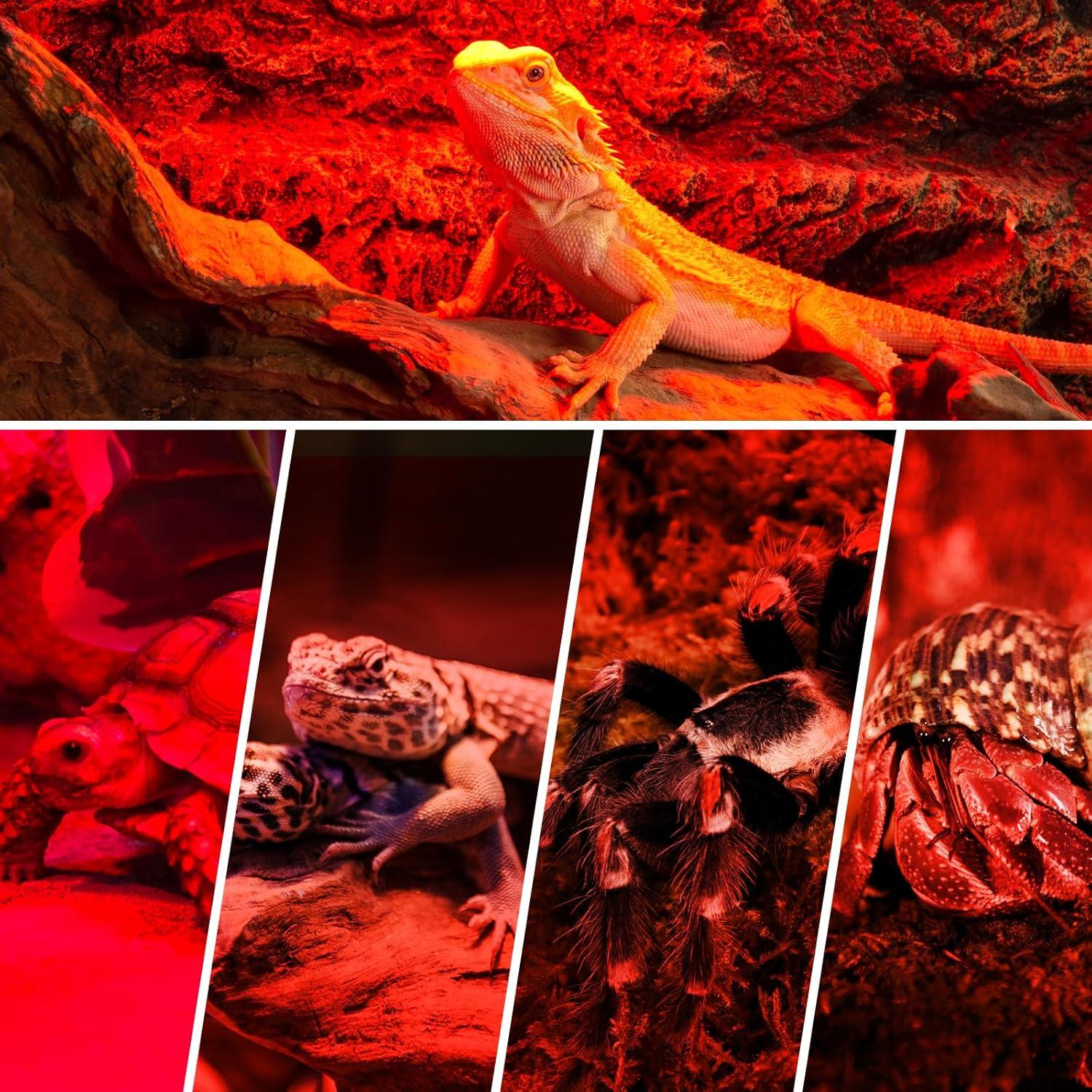 Lámpara de Calor Infrarroja REPTI ZOO 50W para Reptiles y Aves