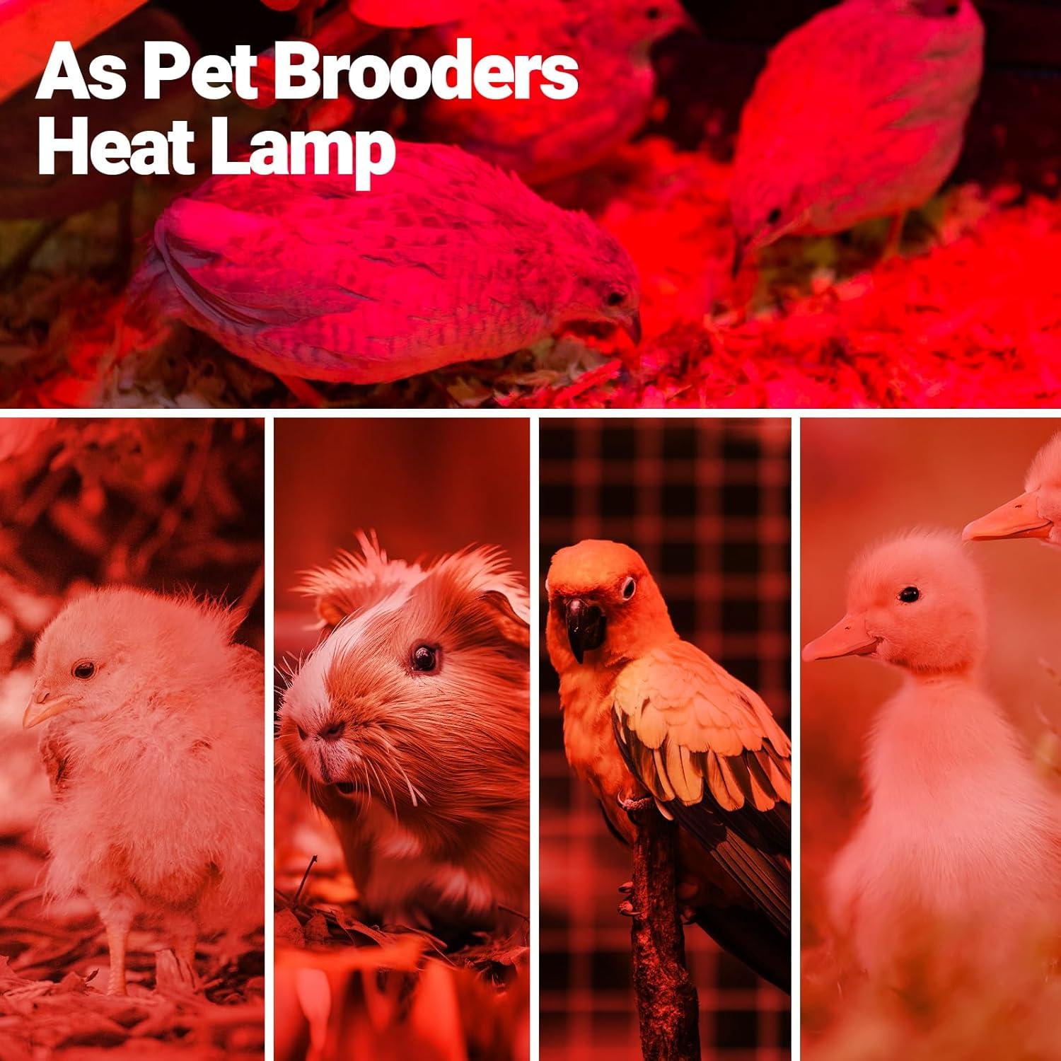 Lámpara de Calor Infrarroja REPTI ZOO 50W para Reptiles y Aves