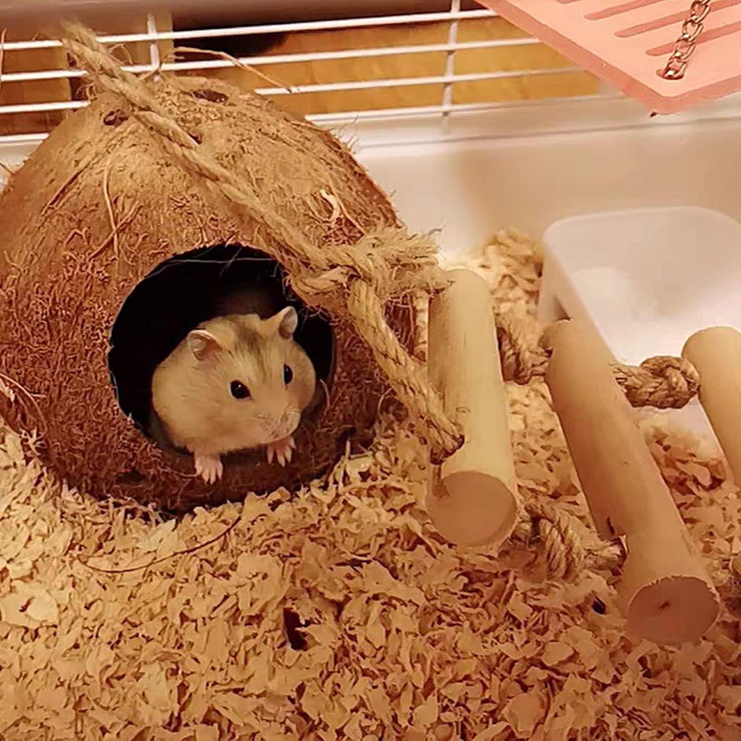 Escondite de Coco Natural BLSMU con Escalera para Hámster y Aves