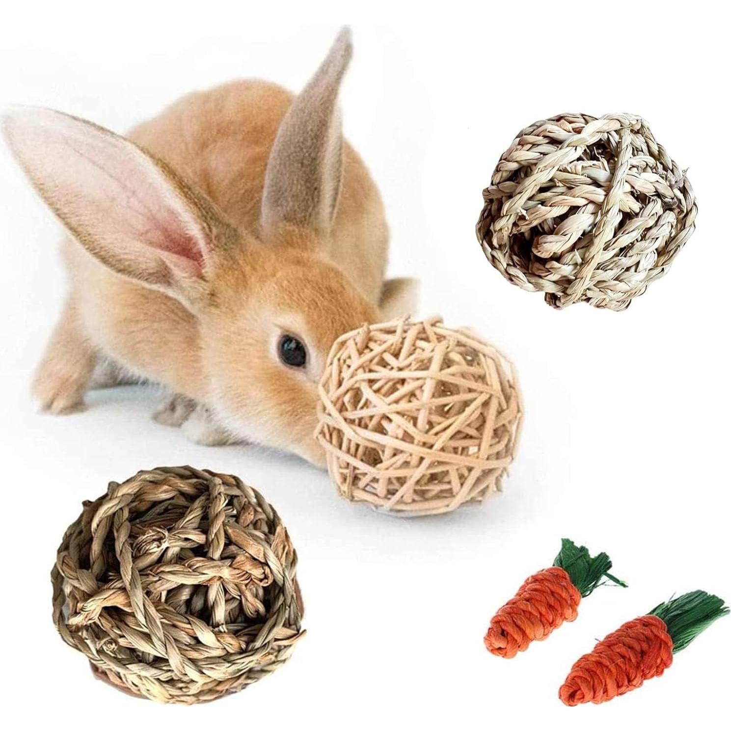 Alfombra de Actividad para Conejos Hamiledyi 30x30 cm Natural