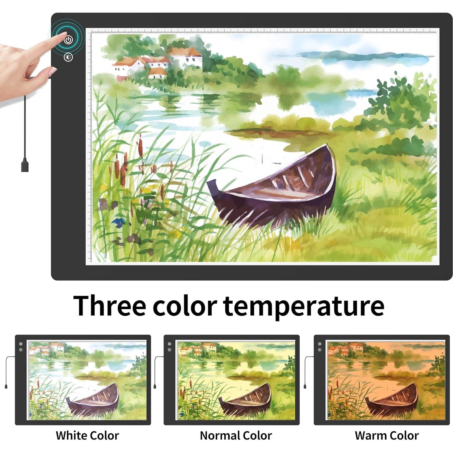 Tablero de Luz LED A1 TOHETO Recargable 90x60cm 3 Colores