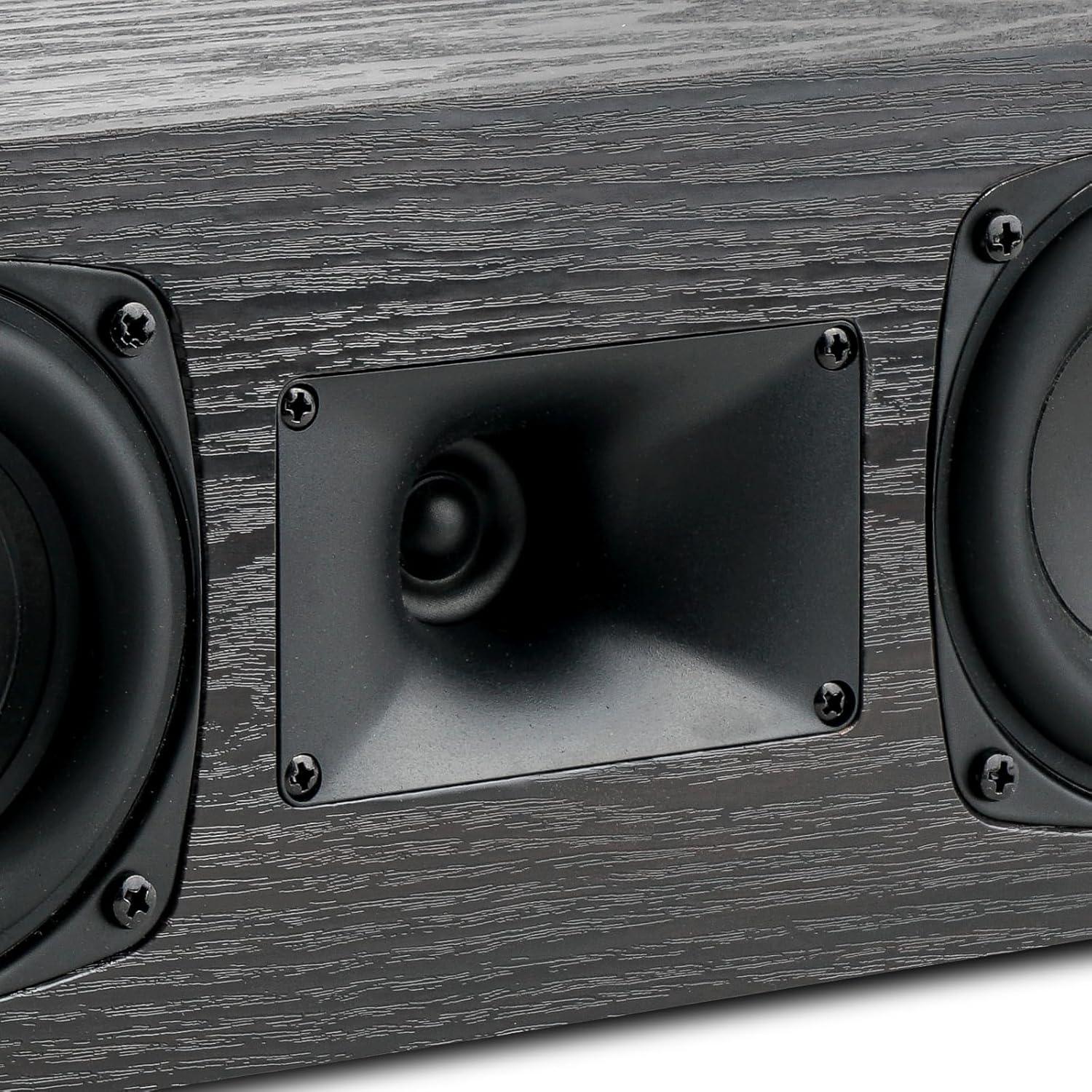 Altavoz Central Saiyin DS7700M 43 cm Doble Woofer 8 Ohm