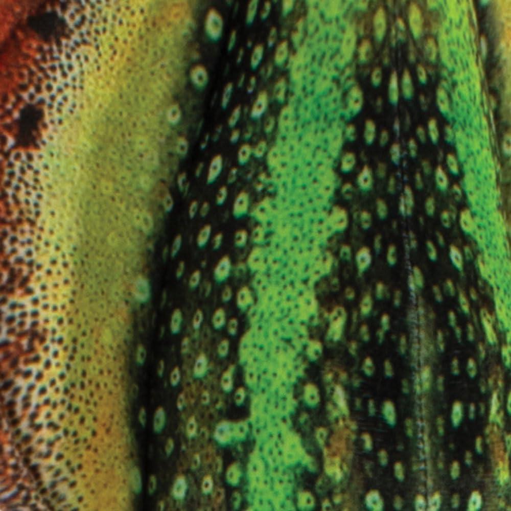 Juguete de Peluche Calamar 45 cm Real Planet Verde