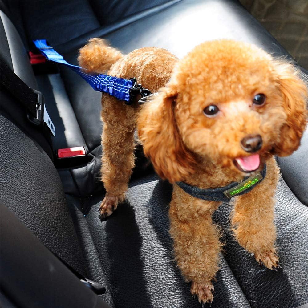 Cinturón de Seguridad para Perros PETPO Ajustable Azul