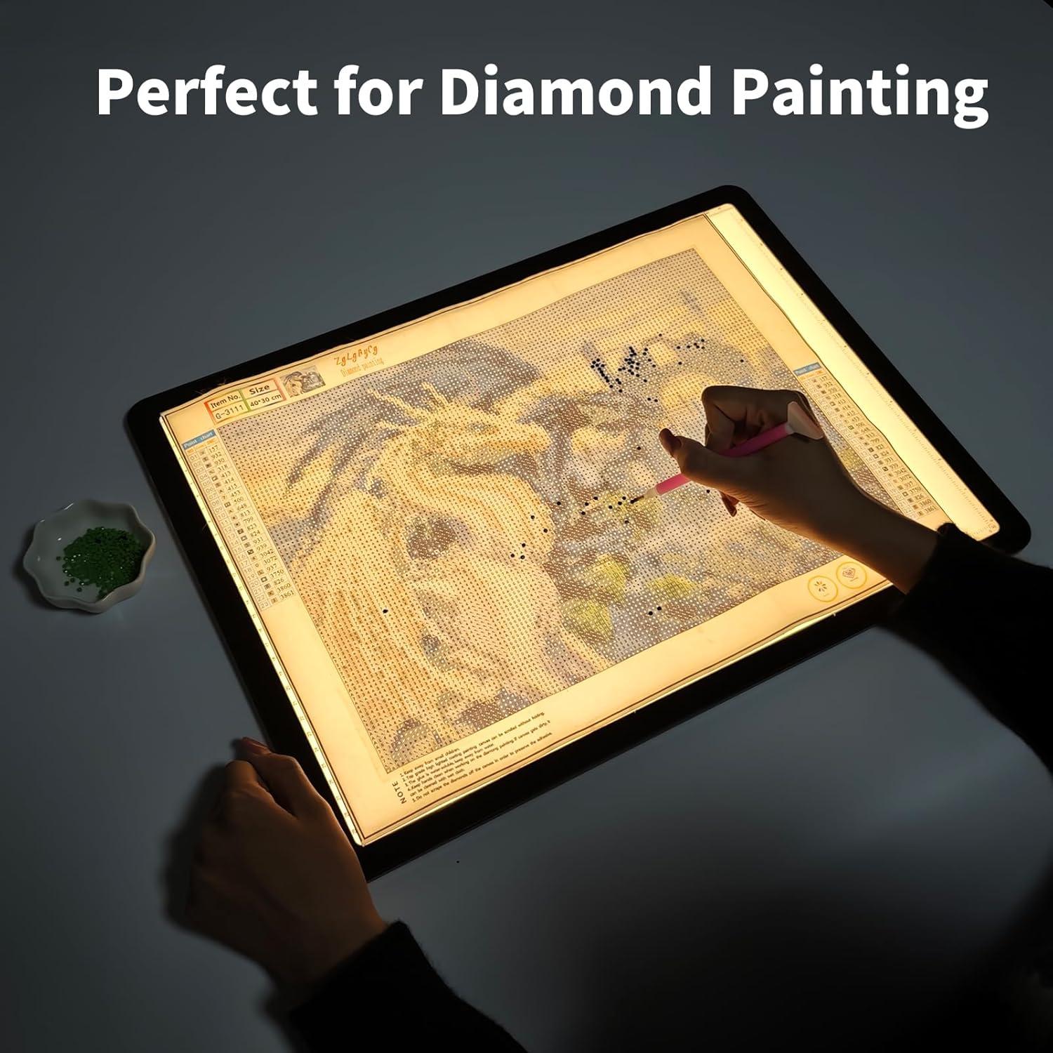 Almohadilla de Luz A3 TOHETO Recargable LED 5600 Lux Negra