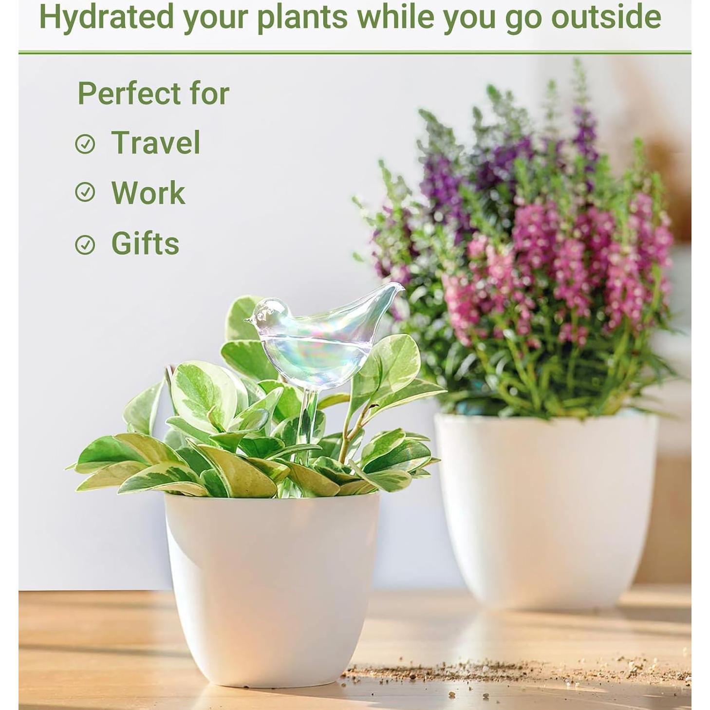 Esferas de Riego Automático Mkono para Plantas - 25.4 cm