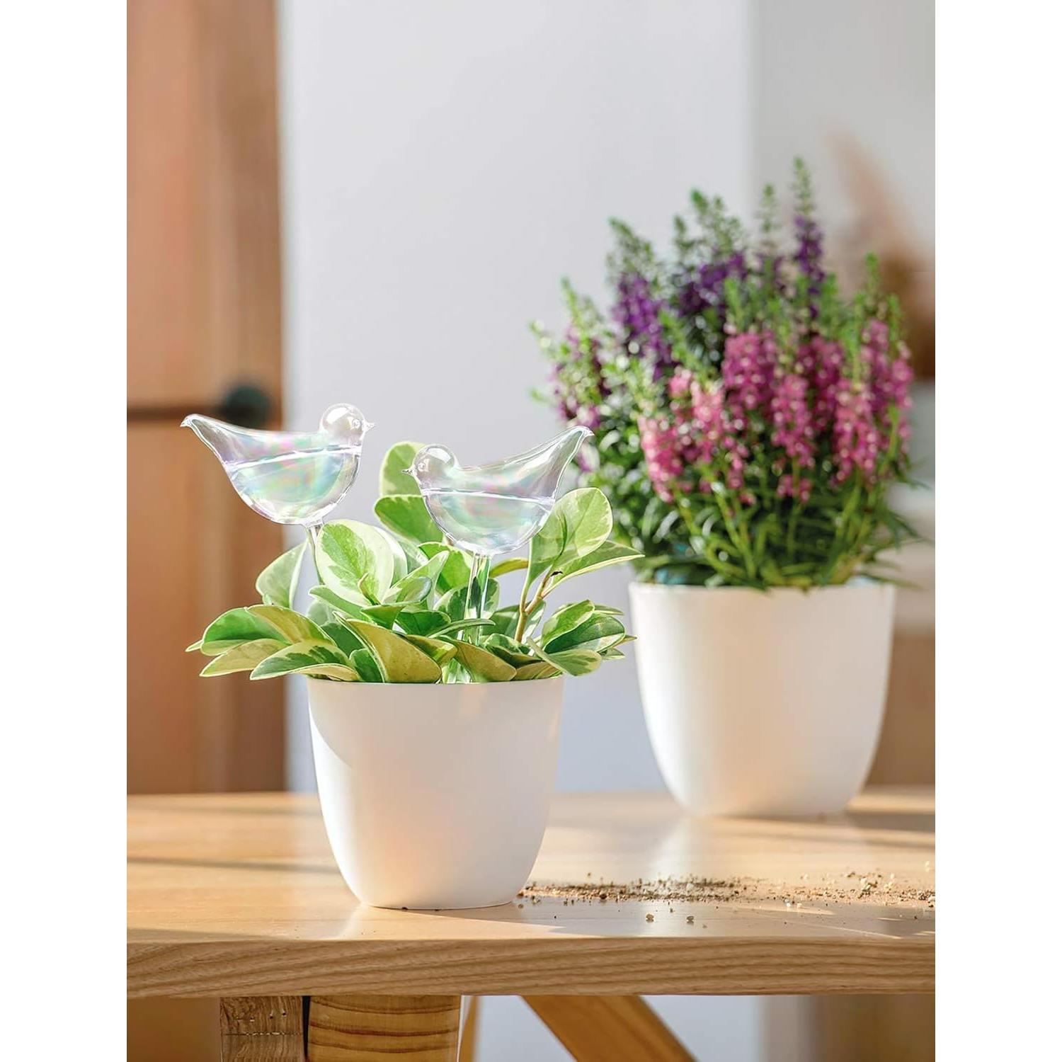 Esferas de Riego Automático Mkono para Plantas - 25.4 cm